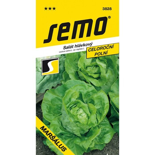 SEMO Salát celoroční - Maršálus PROFI polní 0,6g