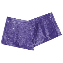 Zakrývací plachta PE s oky modrá 70g/m2 | 6x8 m