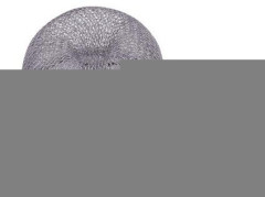 TMX Pastička na myš domečková